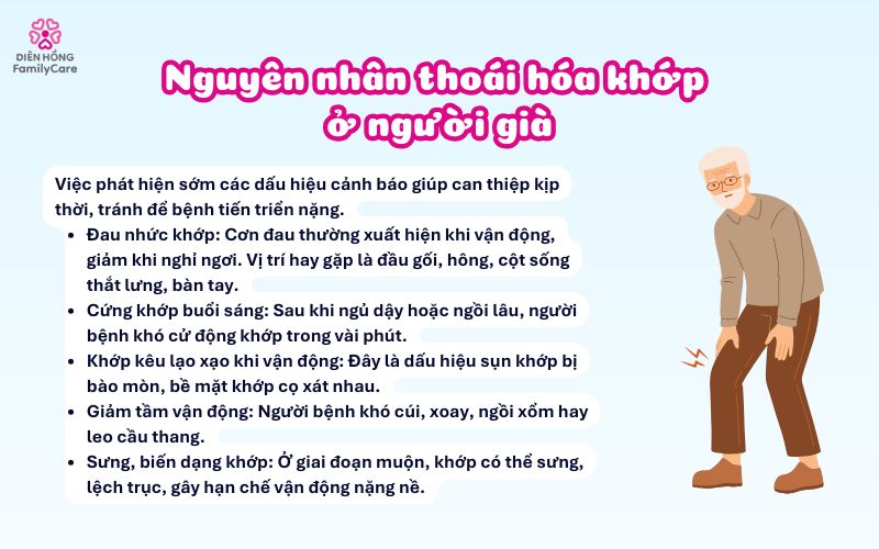 nguyen-nhan-thoai-hoa-khop-o-nguoi-cao-tuoi