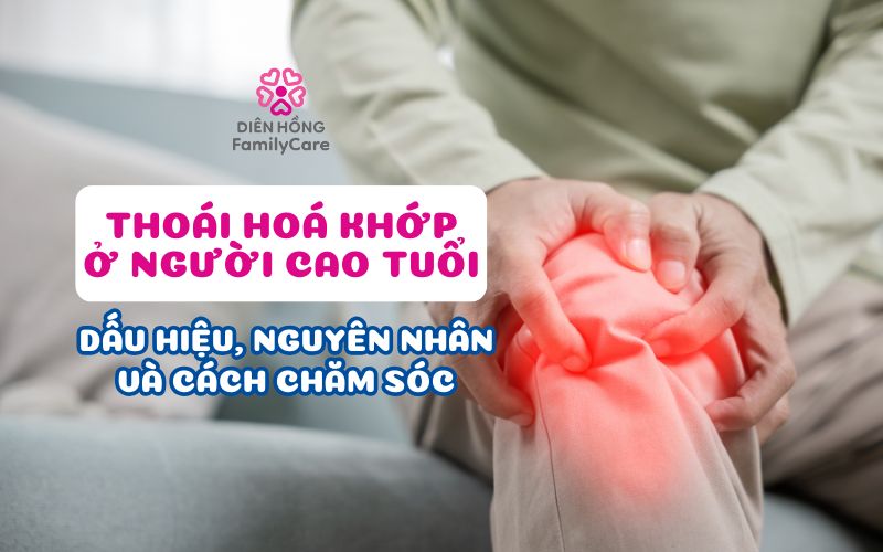 thoai-hoa-khop-o-nguoi-cao-tuoi